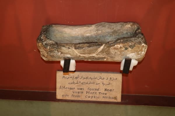 Amanger was found  near virgin marry tree