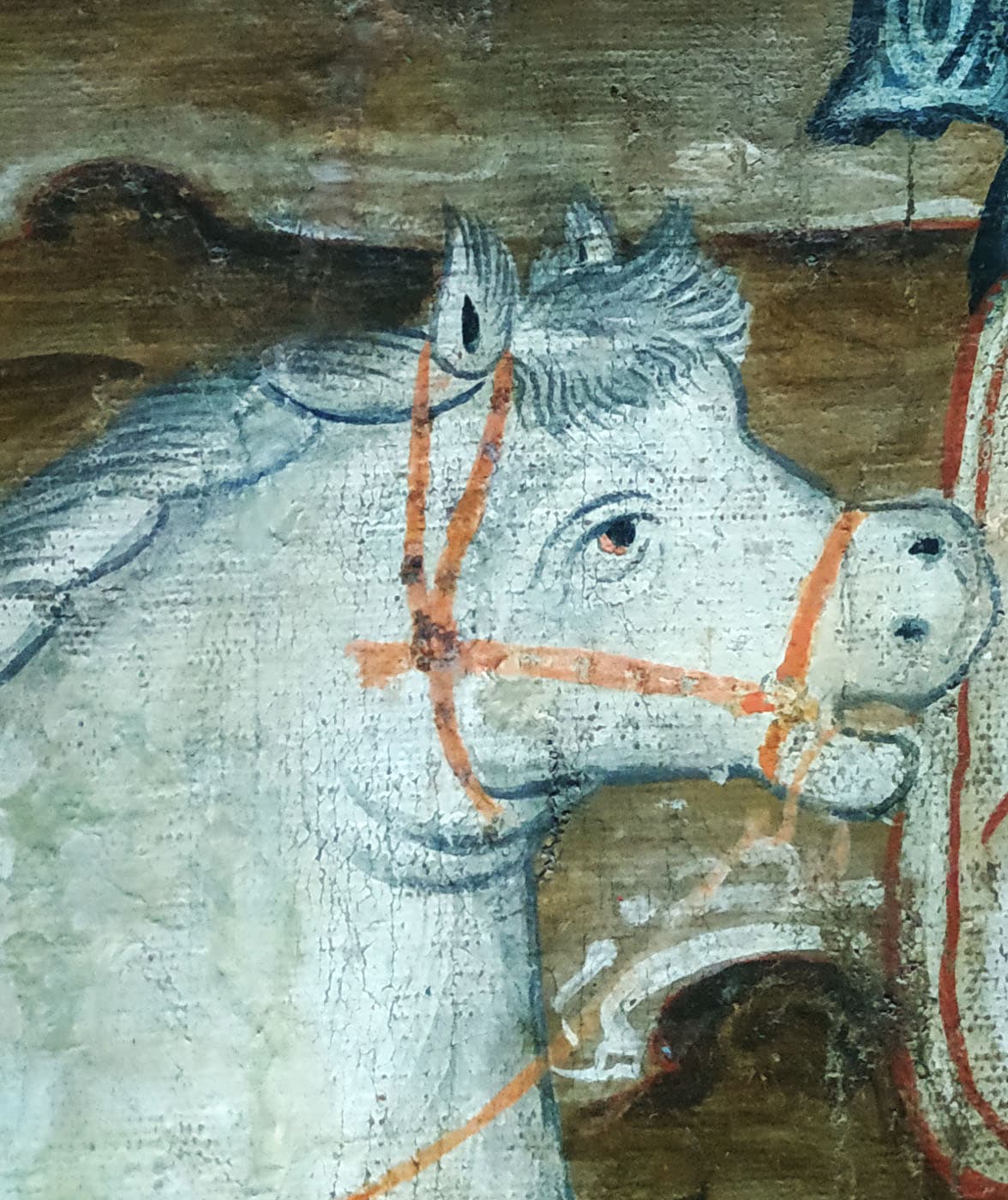 The white horse